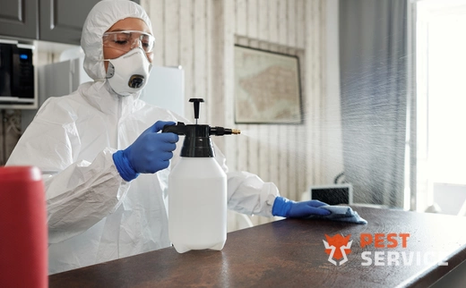 Дезинфекция в Петропавловске-Камчатском